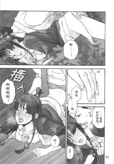 第33页图