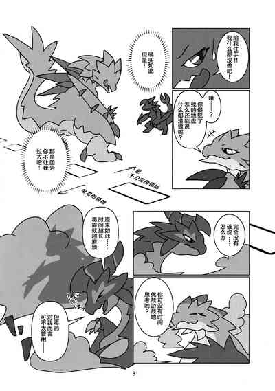 第33页图