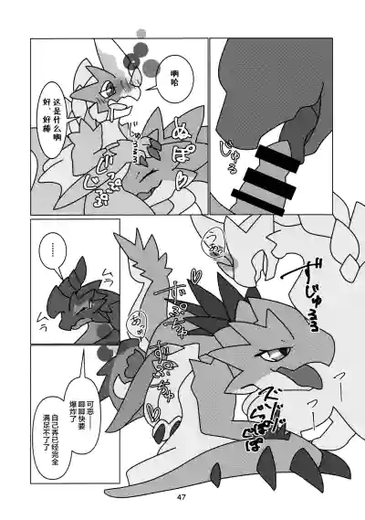 第49页图