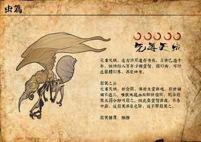第49頁圖
