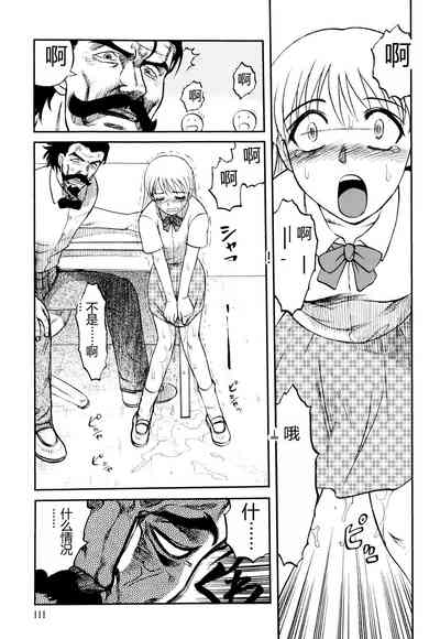 第113頁圖