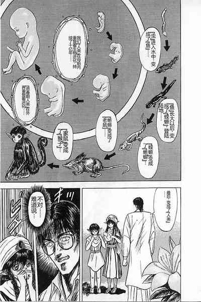 第161頁圖