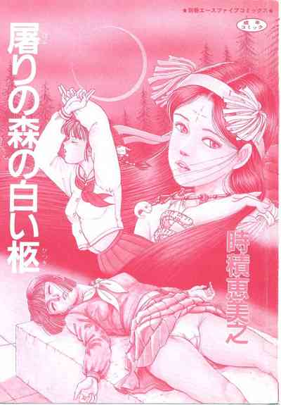 第5頁圖