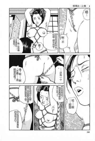 第241页图