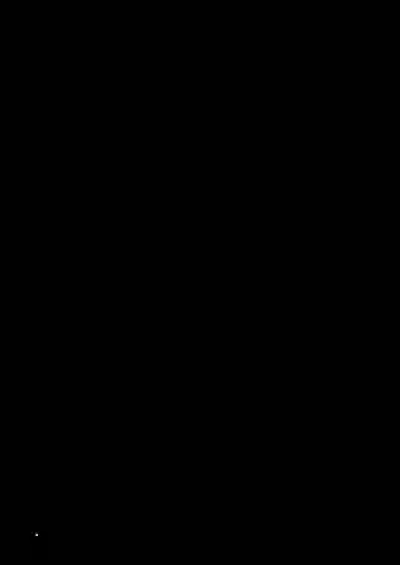 第233頁圖