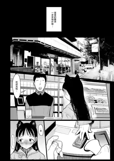 第253頁圖
