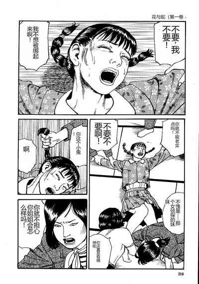 第221頁圖