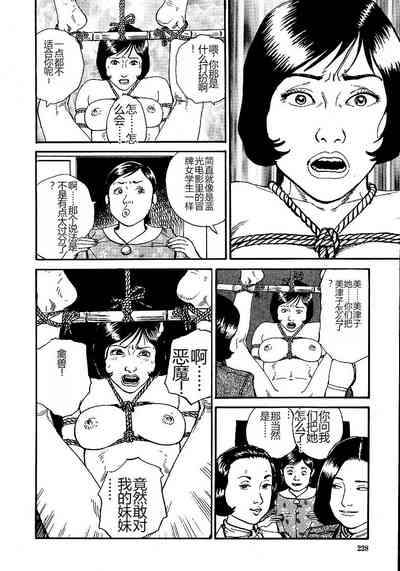 第233頁圖