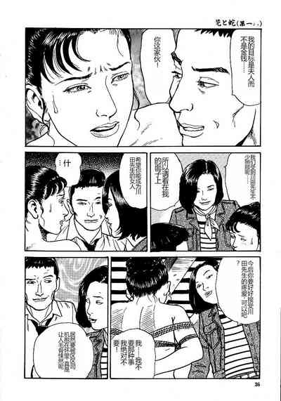 第41頁圖