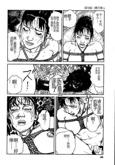 第113頁圖