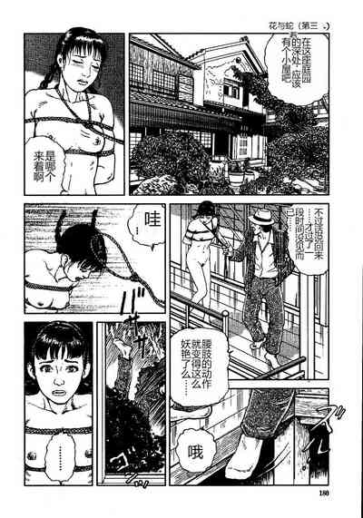 第185頁圖