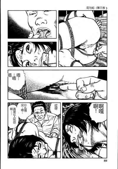 第217頁圖