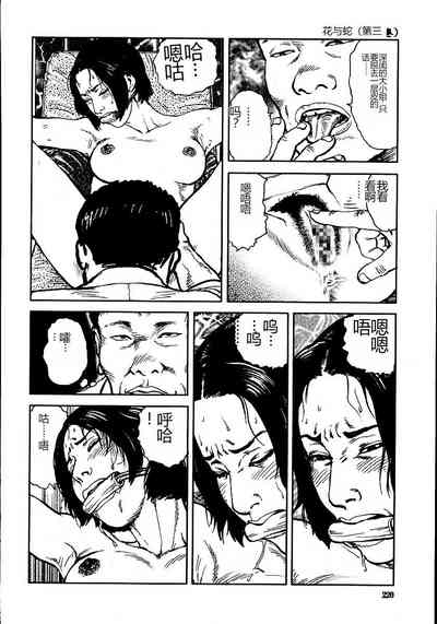 第225頁圖