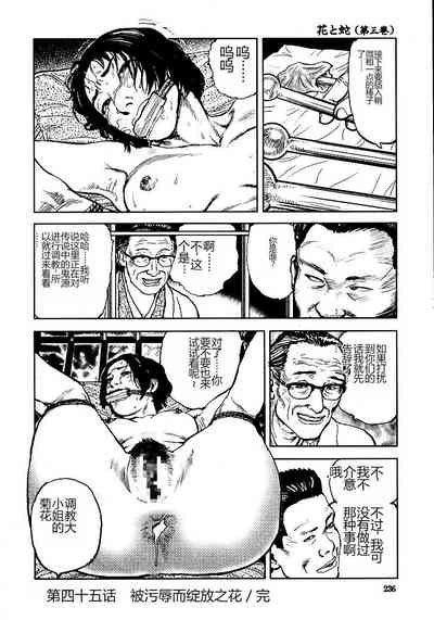 第241頁圖