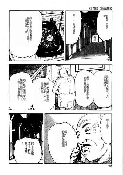 第257頁圖
