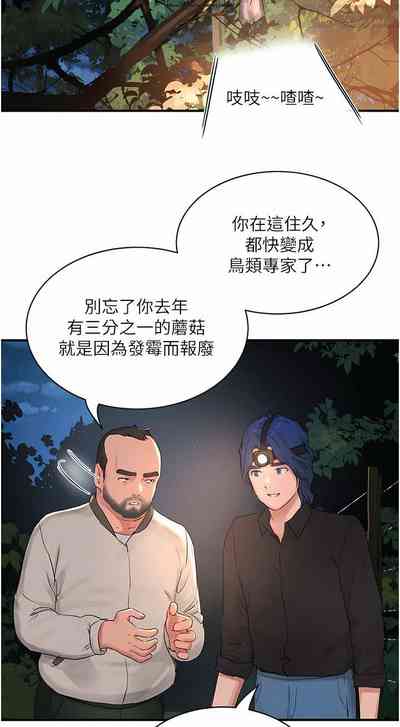 第521頁圖