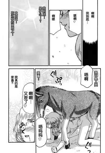 第13页图