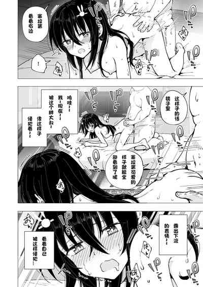 第233页图