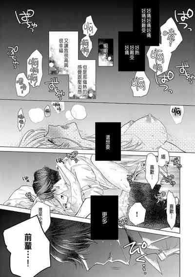 第33頁圖