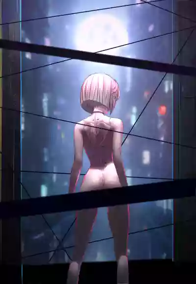 第5页图