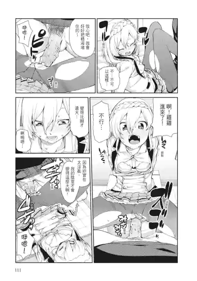 第113頁圖