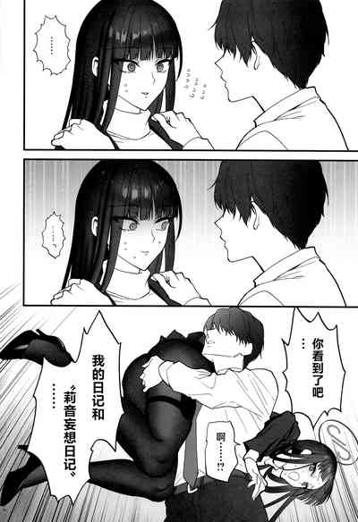 第13页图