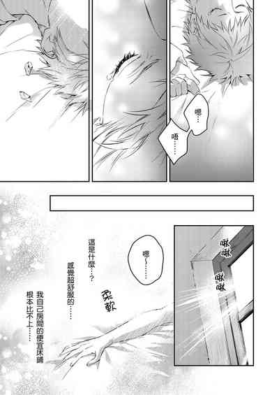 第33頁圖