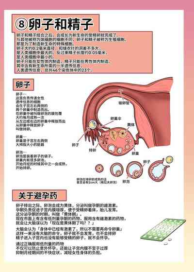 第37頁圖
