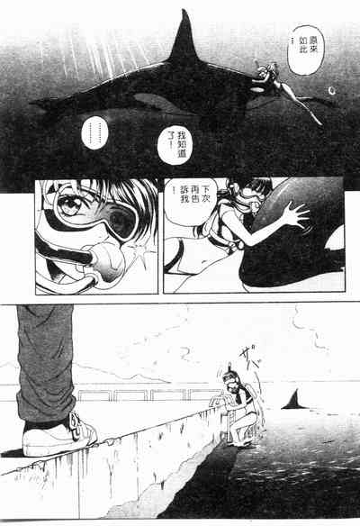 第25頁圖