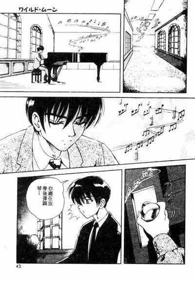 第41頁圖