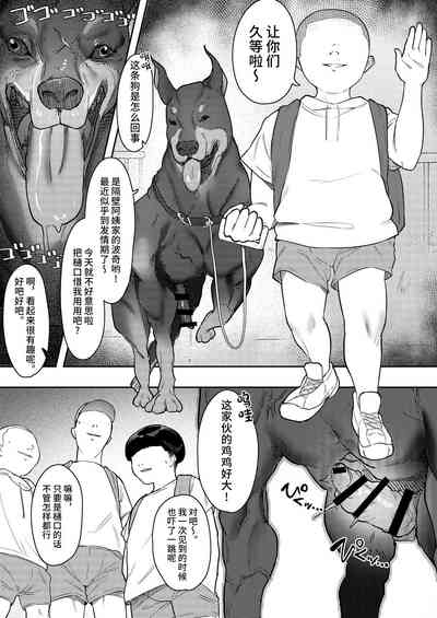 第17页图