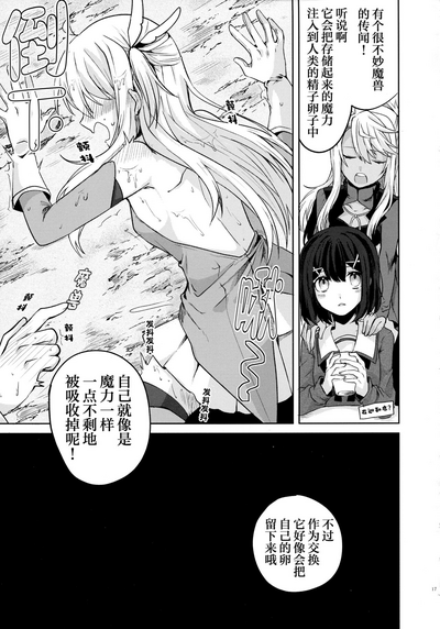 第17页图
