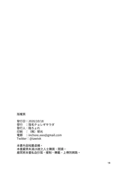 第17頁圖