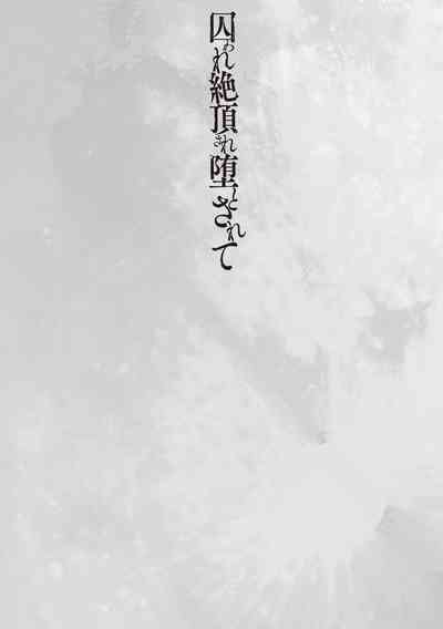 第93頁圖