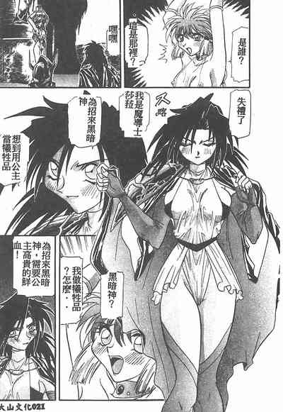 第21頁圖