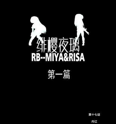 第381頁圖