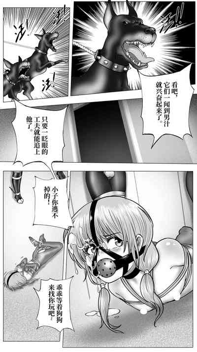 第29页图