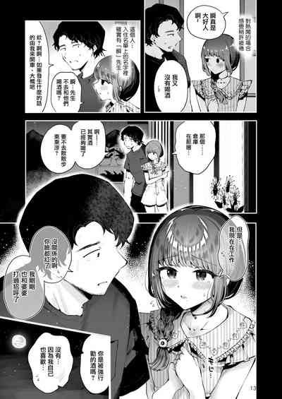 第13页图
