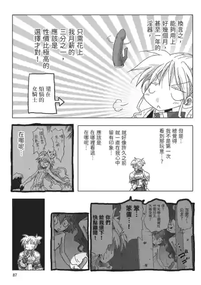 第89頁圖