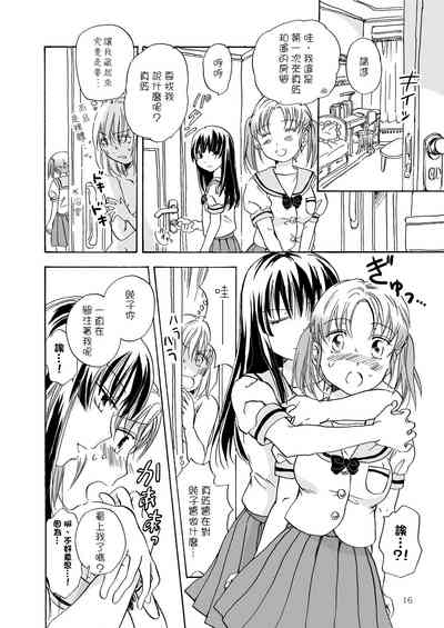 第17页图