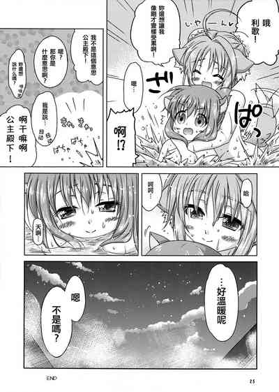 第25页图