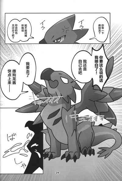 第25页图