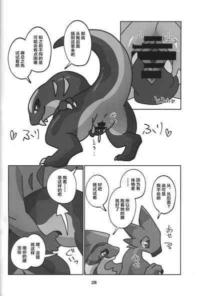 第29页图