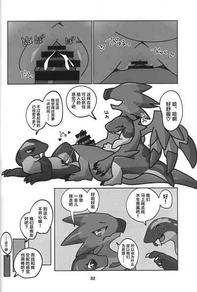 第33页图