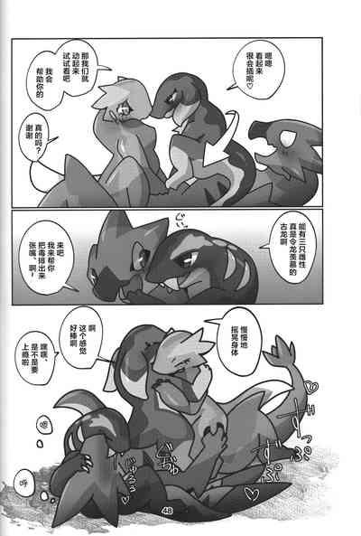 第49页图