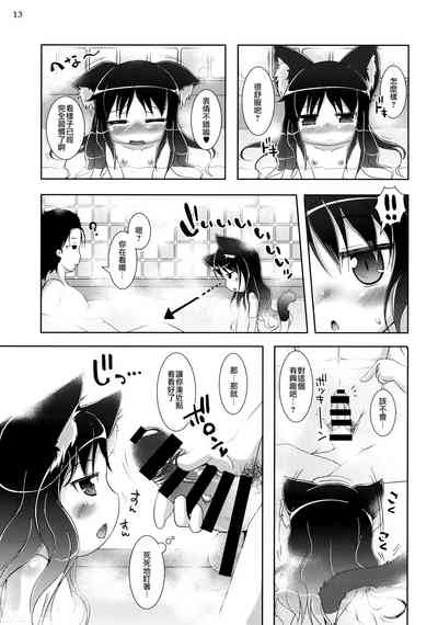 第13頁圖