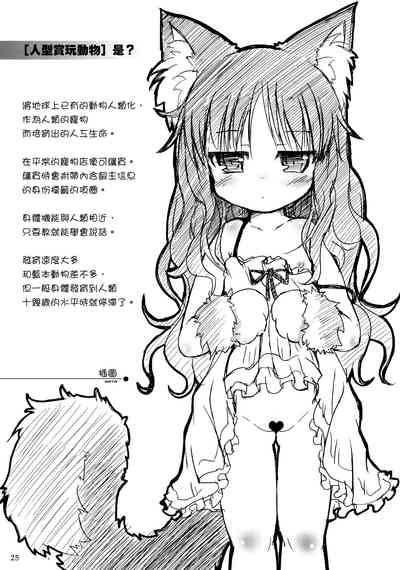 第25頁圖