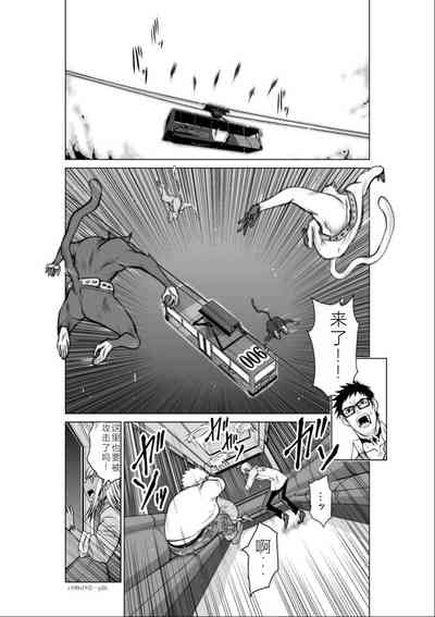 第249頁圖