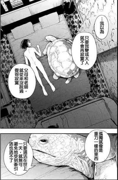 第37頁圖