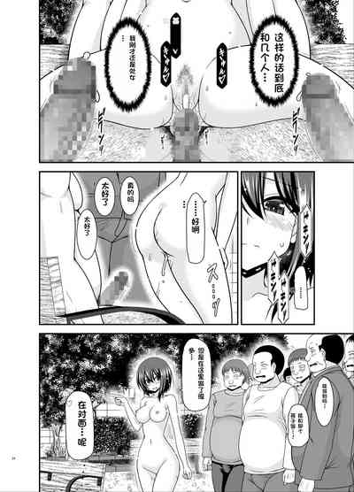 第33页图